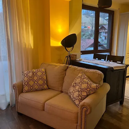 Xili'S Central Apartment, Netflix & Free Parking Brasov Exterior photo