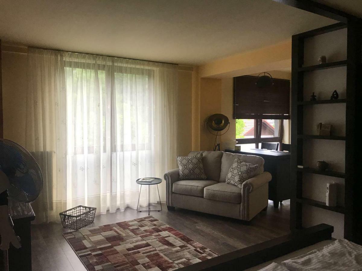 Xili's Apartment, Netflix & Free Parking Braşov
